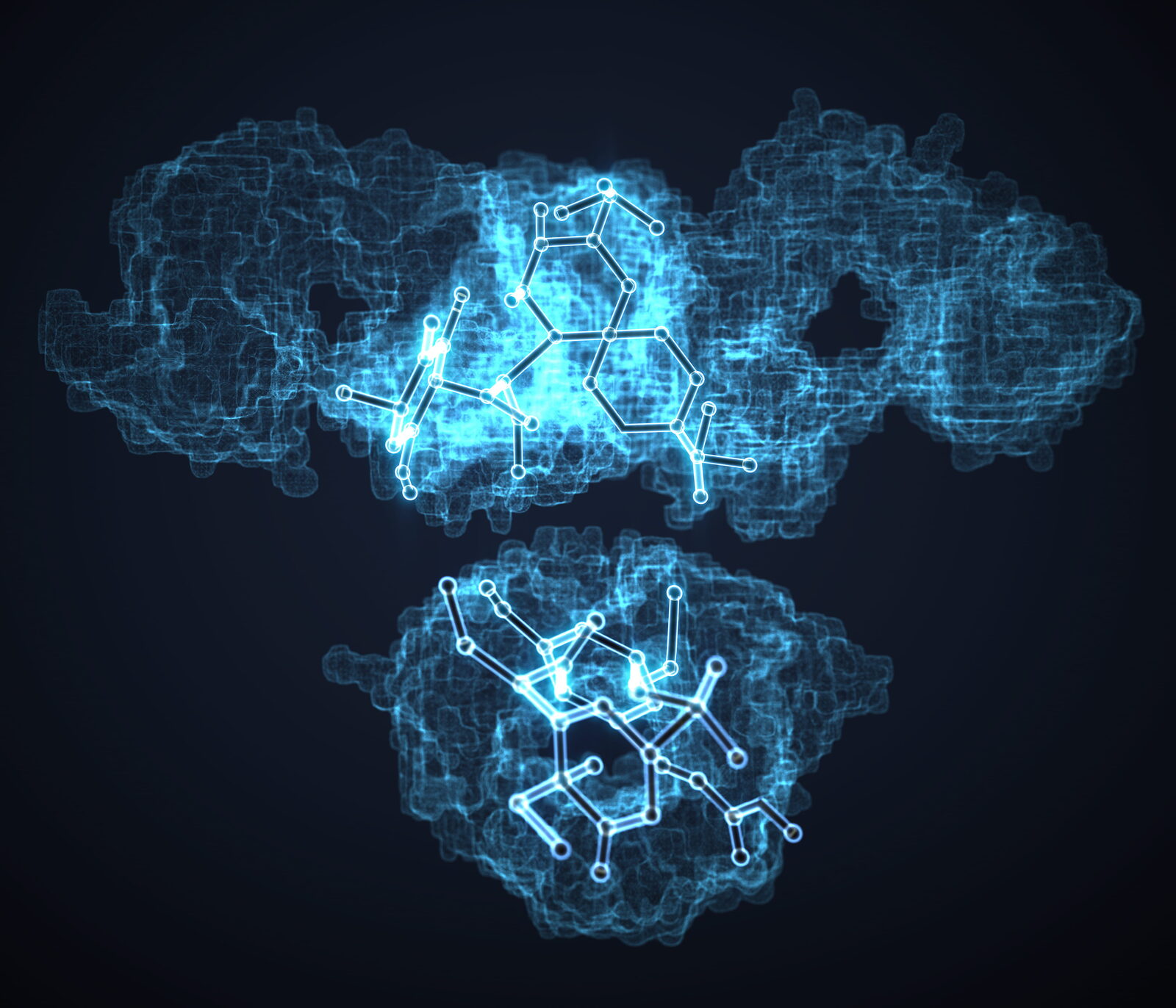 Rendered antibody molecular structure