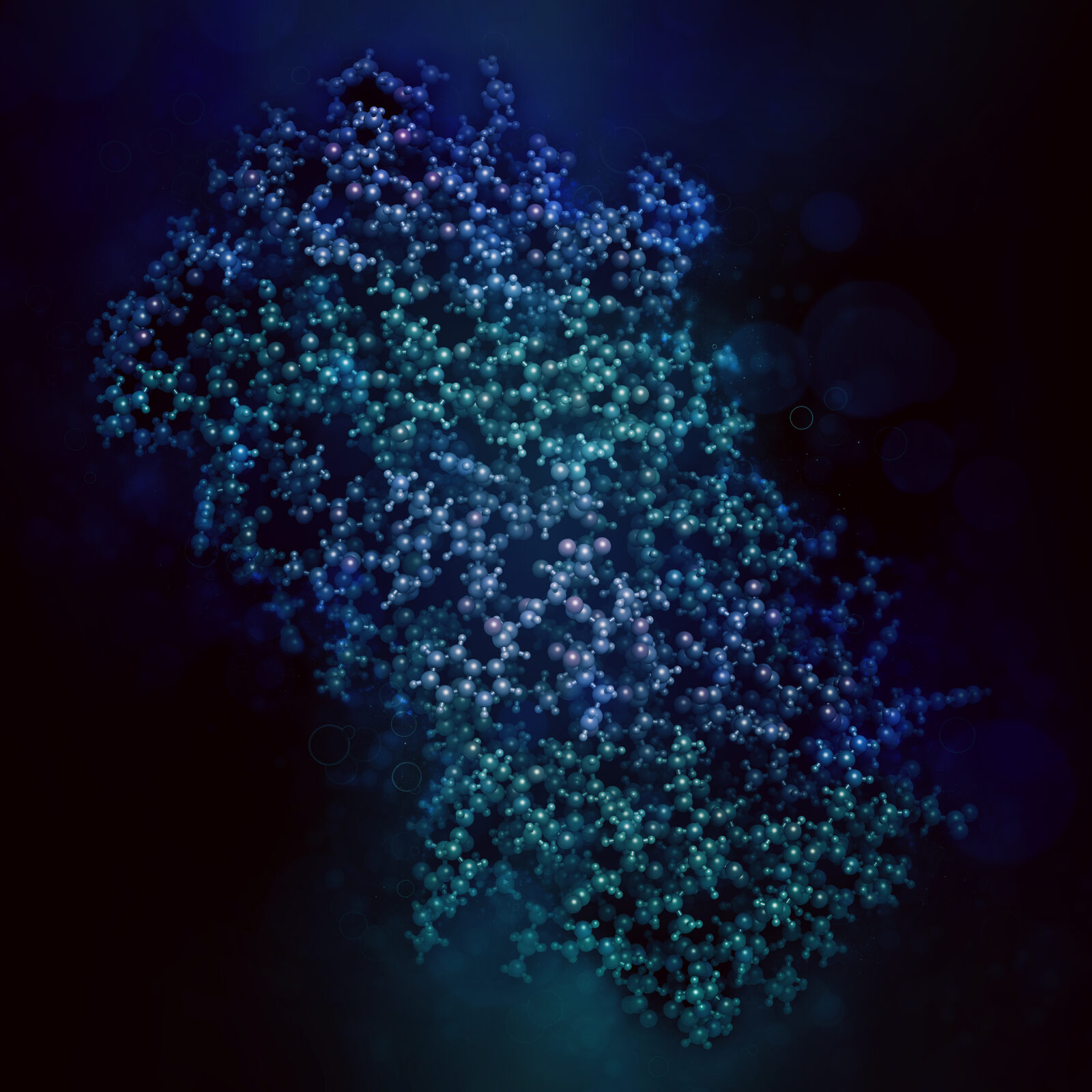Illustration of monoclonal antibody molecular structures